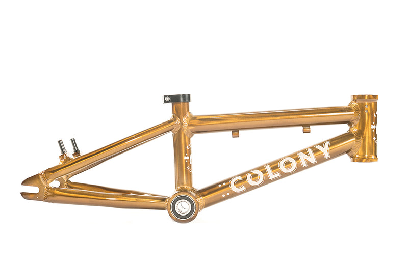 Colony Horizon Alloy Frame [Colour: Clear Gold] [Frame Size : 12 Inch]
