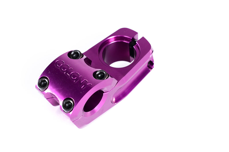 Colony Squareback Stem Purple