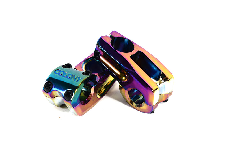 Colony Squareback Stem Rainbow